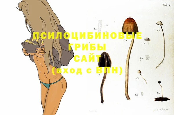 марки nbome Горно-Алтайск